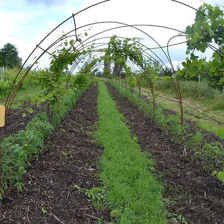 La Ferme De Cagnolle *