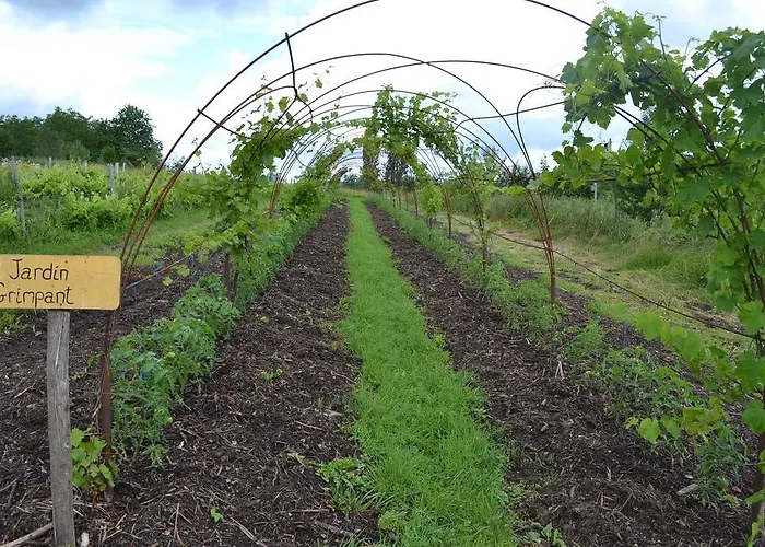 La Ferme De Cagnolle *